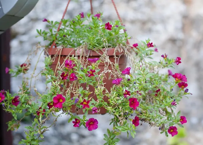 Apartman Hortenzija *